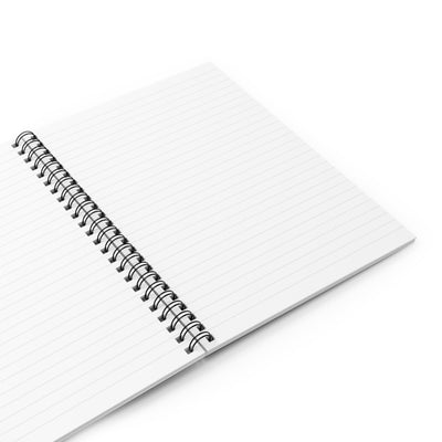 Vision 2D Notebook